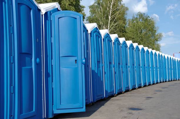 Best Sanitation services for porta potties  in Lena, IL